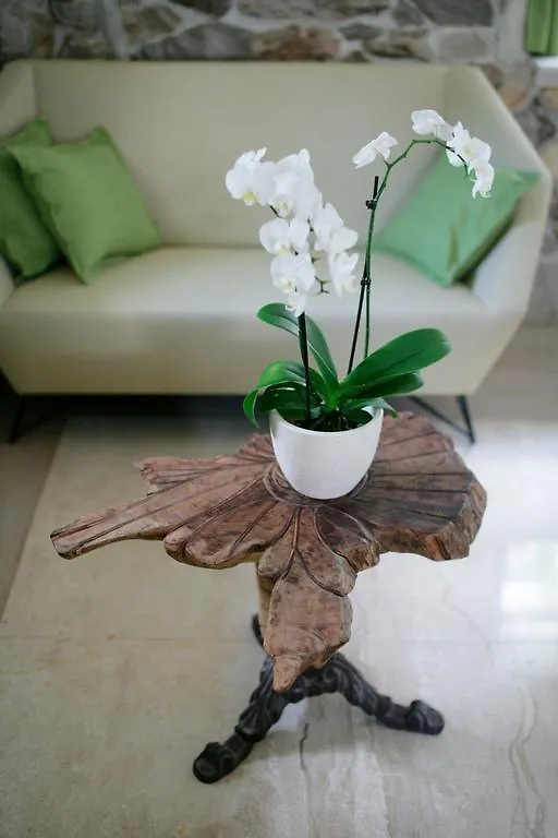 Royal Apartment Varos Split Croatia
